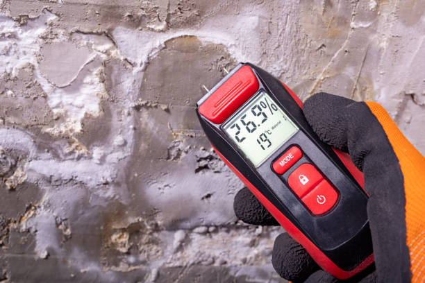 Home Mold Removal in Sylvania, AL